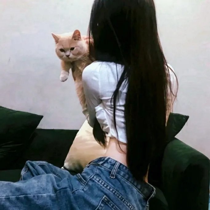 双子谜情